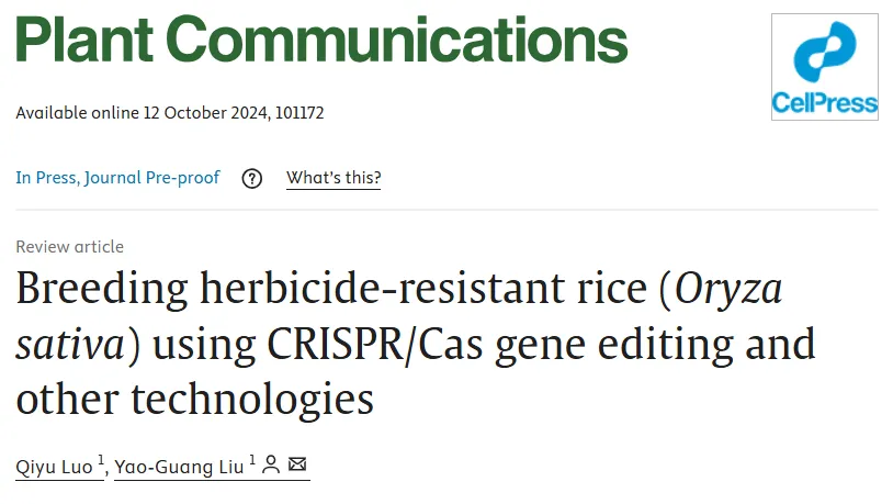 Plant Com | 劉耀光院士團隊綜述CRISPR/Cas基因編輯等技術(shù)在抗除草劑水稻育種研究中的進展及展望